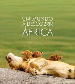 ★ Descubra a África! Programe sua viagem