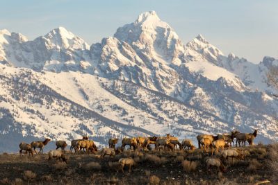 Wanderlust: Jackson Hole – Wyoming – EUA