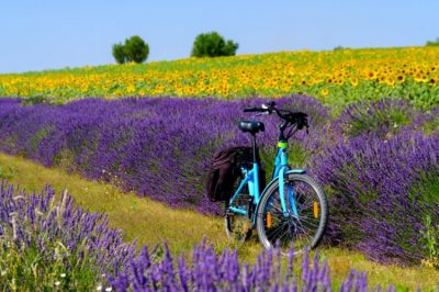 7 Destinos para conhecer a Europa de bicicleta
