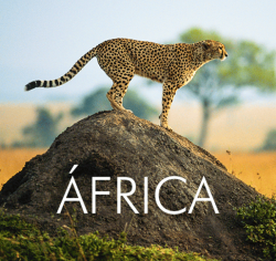 ★ Descubra a ÁFRICA – Pague em 6x sem juros!