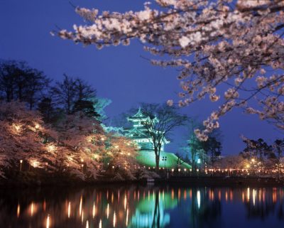 Florada das Cerejeiras, um convite ao Japão